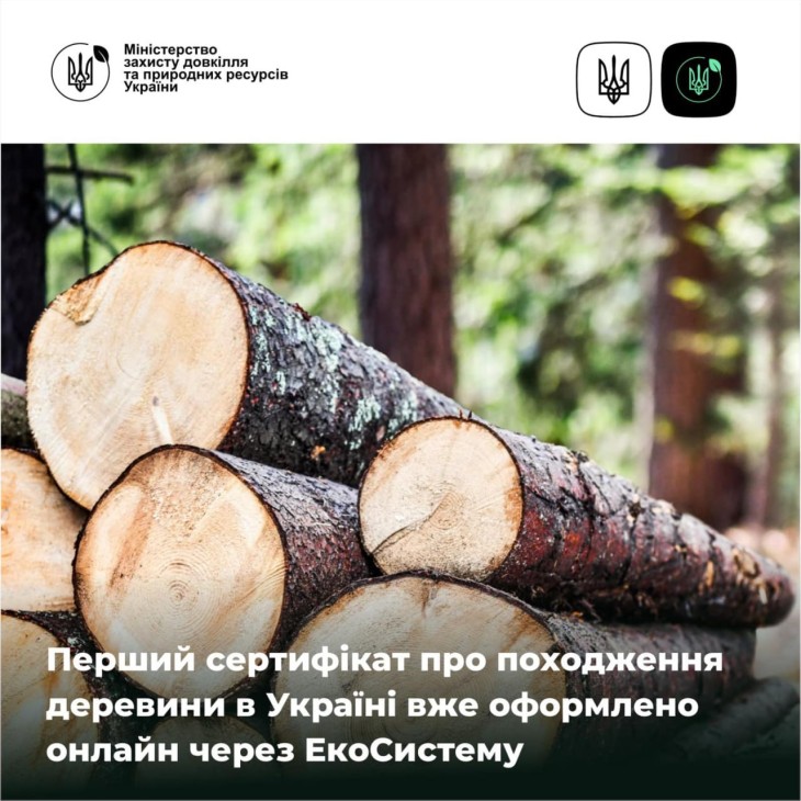 Перший сертифікат про походження деревини в Україні оформлено онлайн через ЕкоСистему